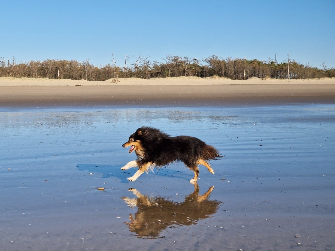 RACKHAM LE ROUGE Du Champ Paillot