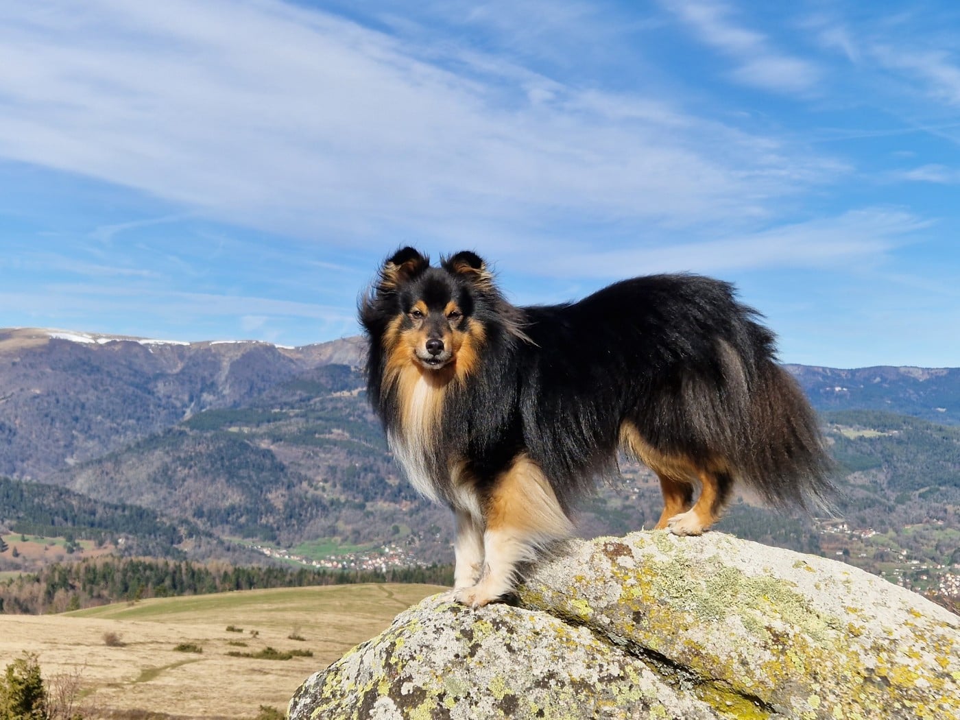 RACKHAM LE ROUGE Du Champ Paillot