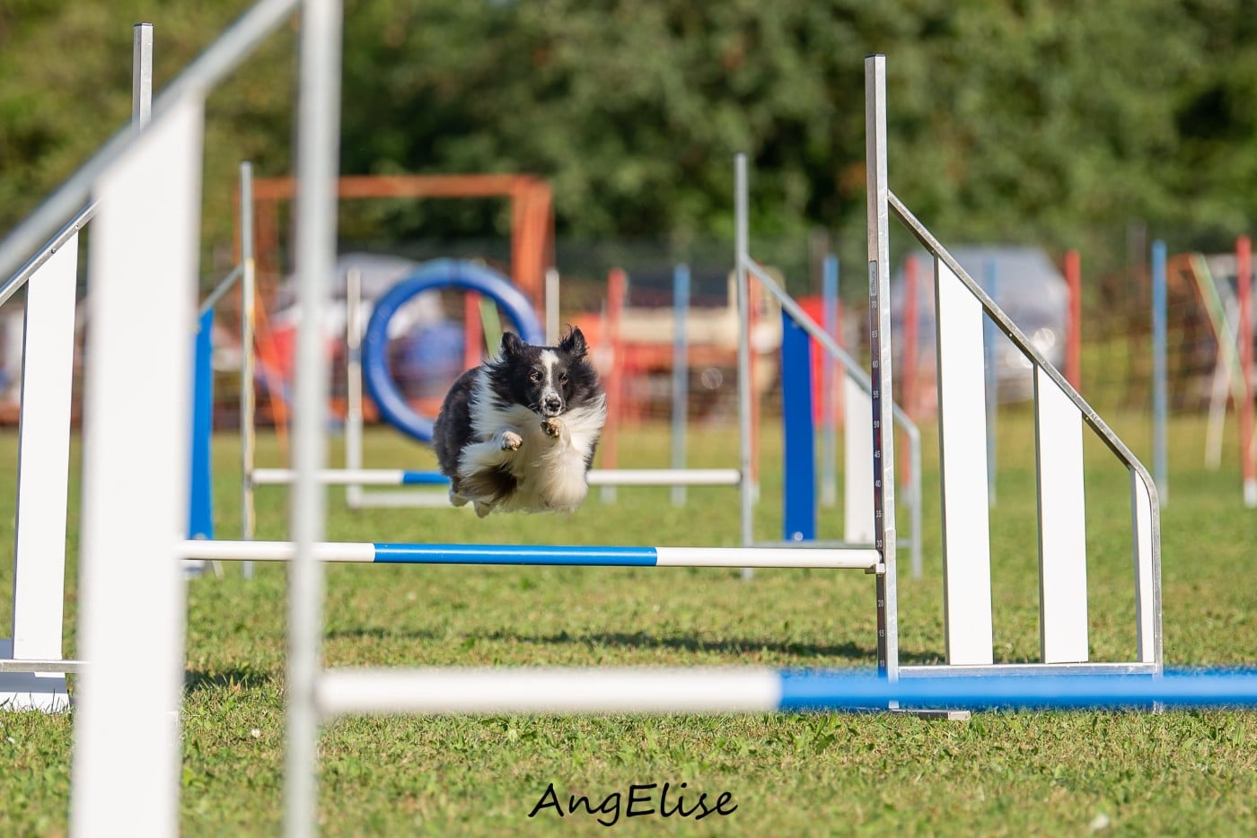 Ness du Monde de Justine