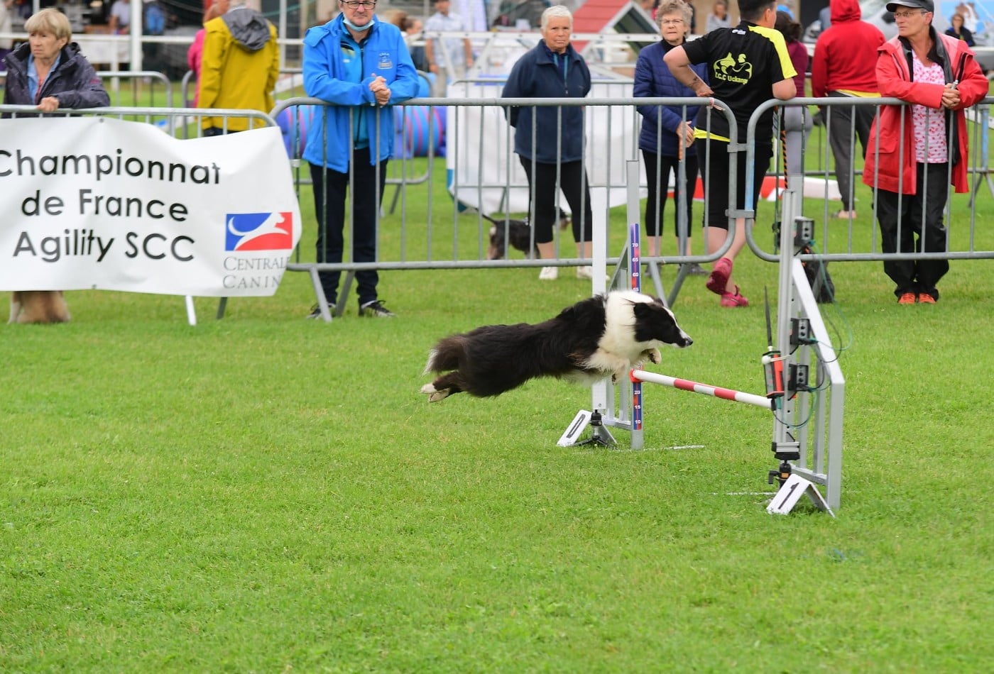 Ness du Monde de Justine