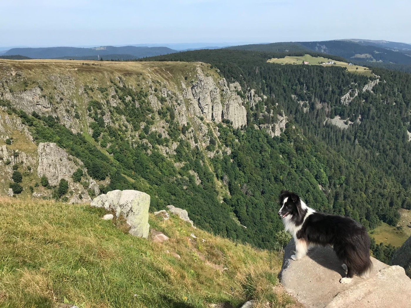 Ness du Monde de Justine