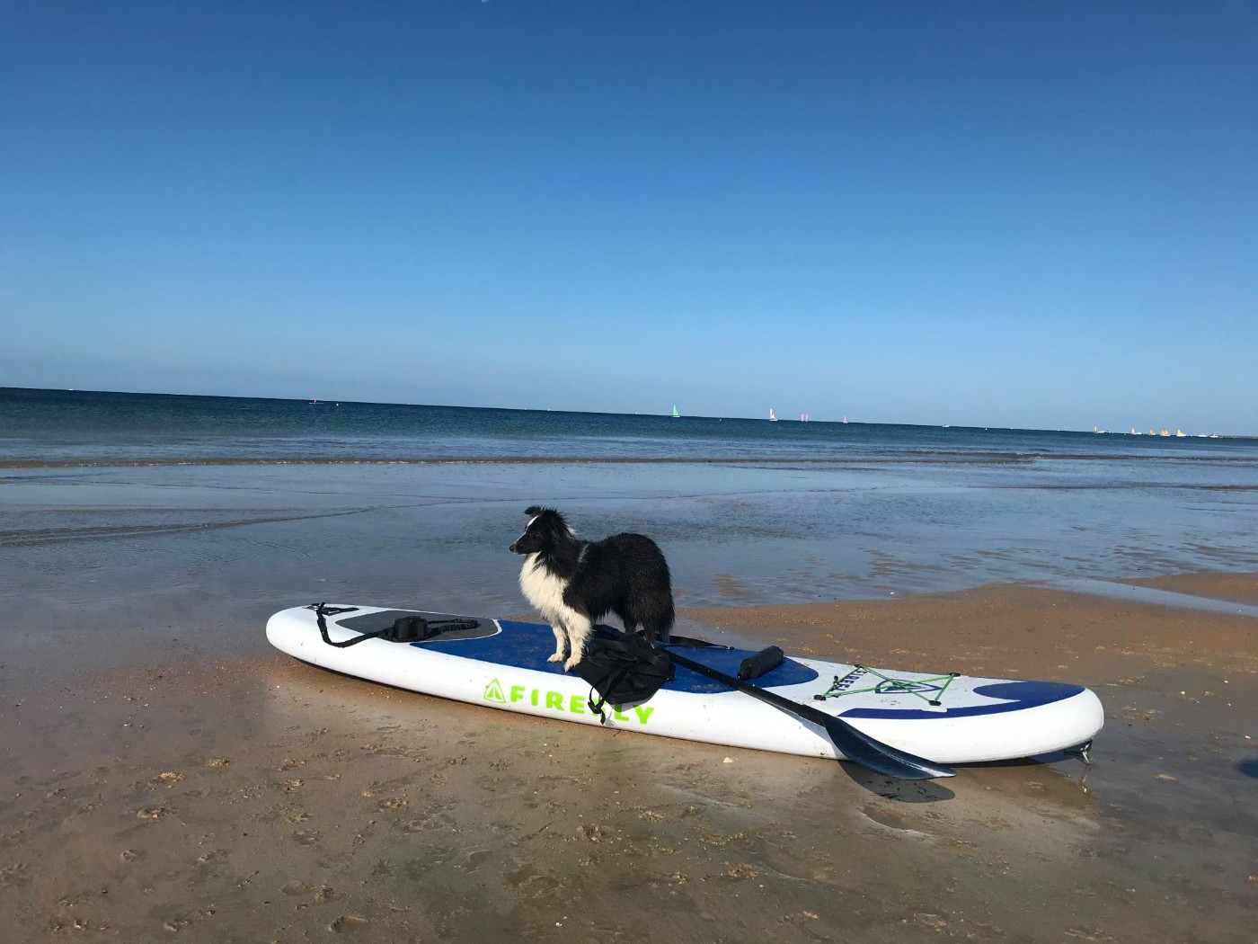 Ness du Monde de Justine