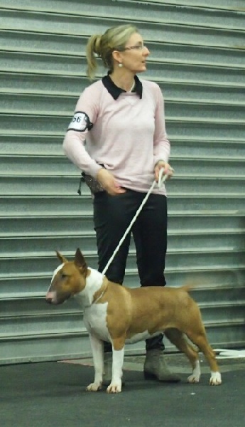 CH. Deiz Al Lid In sacha 's mémory ( irma)