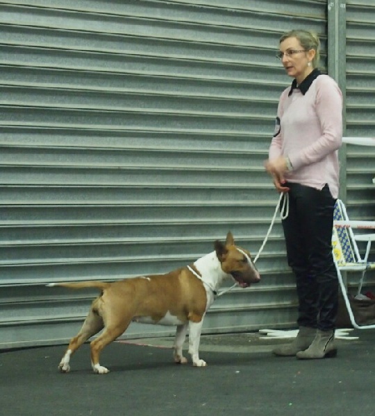 CH. Deiz Al Lid In sacha 's mémory ( irma)