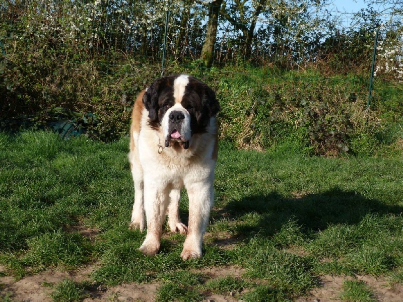 Publication : Des Légendes De Bretagne Auteur : maeva quéméneur