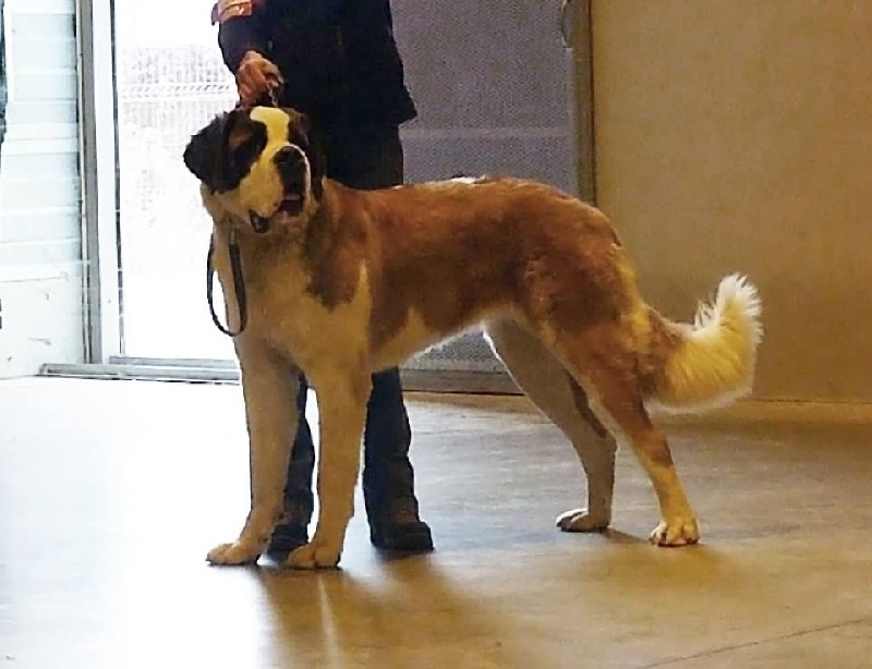 Publication : Des Légendes De Bretagne