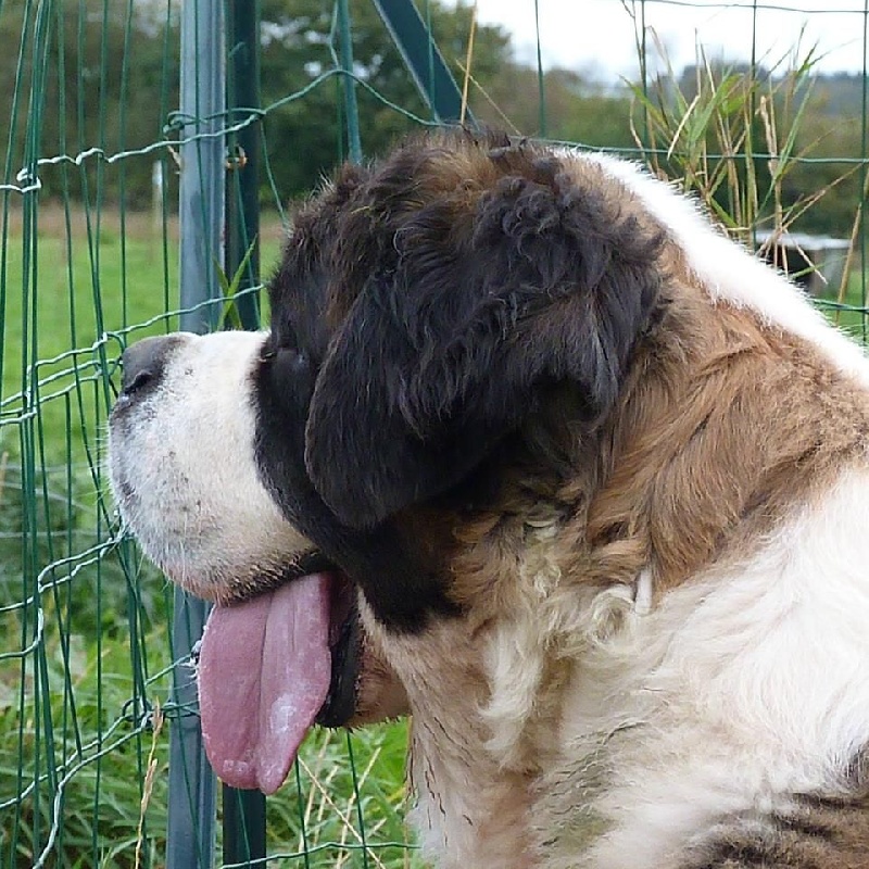Publication : Des Légendes De Bretagne Auteur : maeva quéméneur
