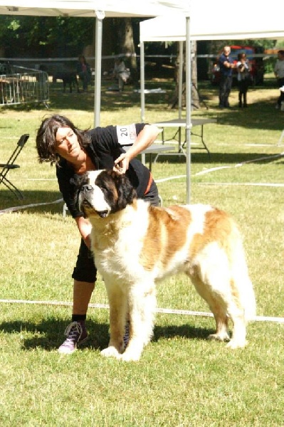 Publication : Des Légendes De Bretagne Auteur : maeva quéméneur