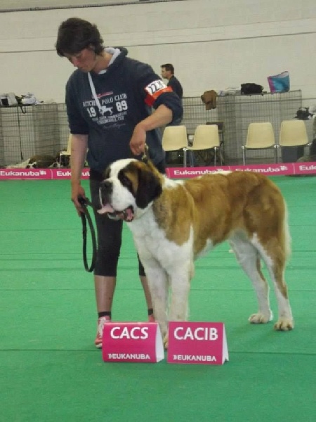 Publication : Des Légendes De Bretagne