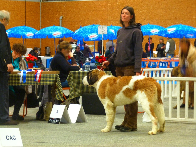 Ginger do ferrador - Assez Prometteur