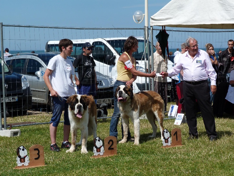 CH. Hinka Des Légendes De Bretagne - 1 er excellent Meilleur Jeune