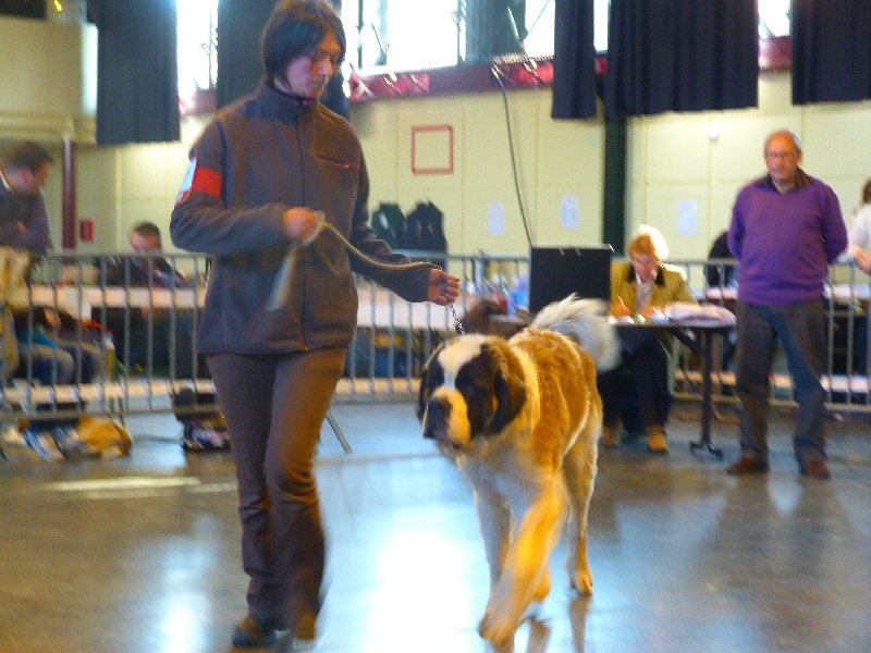 Ginger do ferrador - Trés Bon