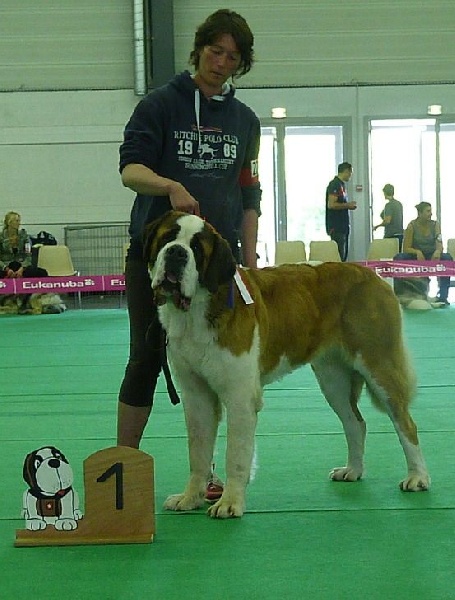 CH. Hinka Des Légendes De Bretagne - 1 er Excellent CACS - CACIB