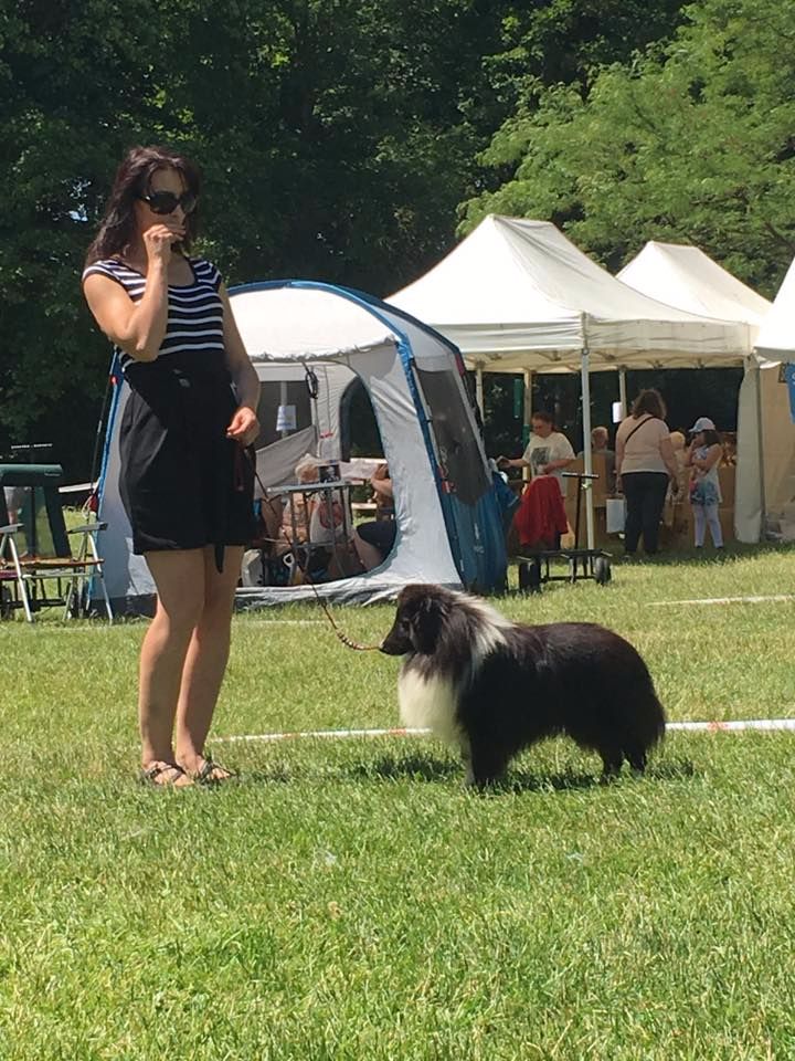 L'hadès Des Cerberes De L'isaac - RCACS Special de Race