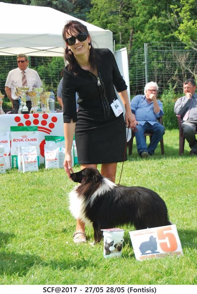 L'hadès Des Cerberes De L'isaac - 5 éme EXCELLENT