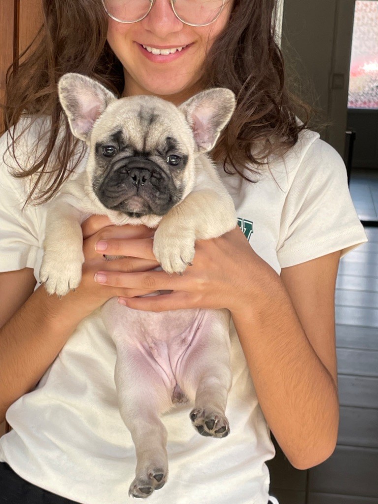 Una storia d amore dit umy