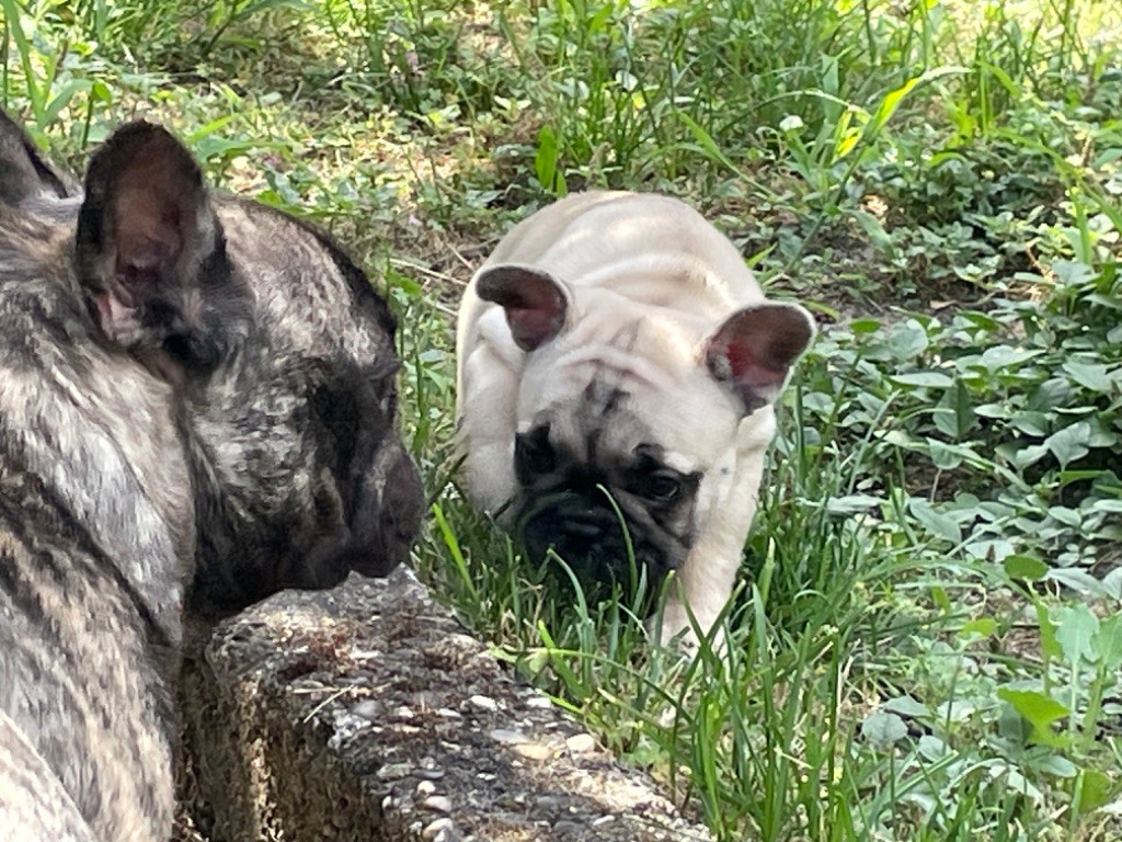 Una storia d amore dit umy