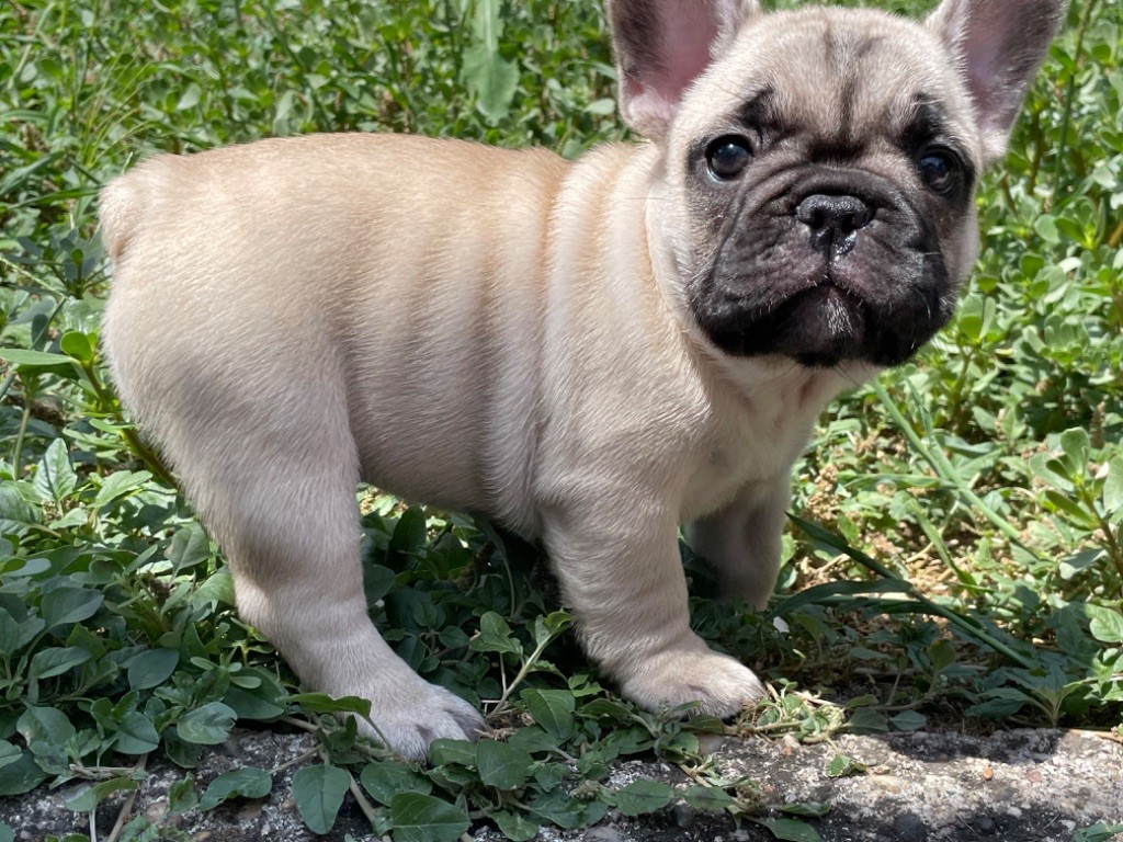 Una storia d amore dit umy