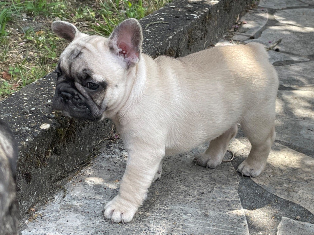 Una storia d amore dit umy