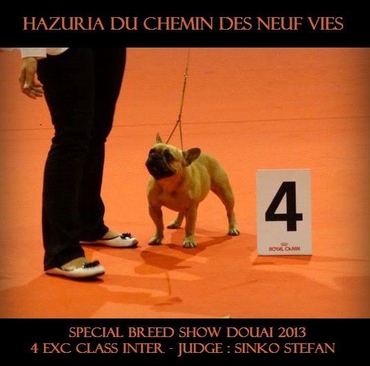 Hazuria Du Chemin Des Neuf Vies - 4eme excellent - classe intermédiaire