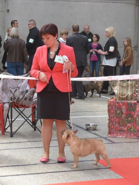 Hazuria Du Chemin Des Neuf Vies - 3eme excellent classe jeune + confirmation+ TAN