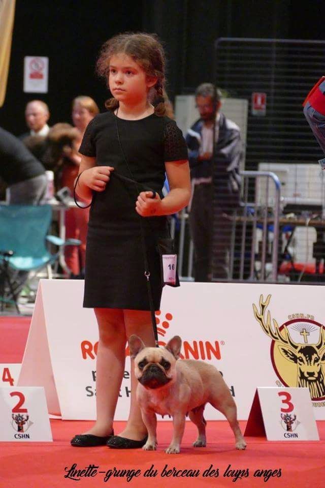 Linette-grunge du Berceau des Loups Anges - Très bon