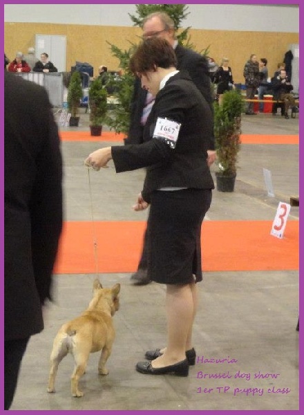 Hazuria Du Chemin Des Neuf Vies - 1er très prometteur classe puppy (7 mois)