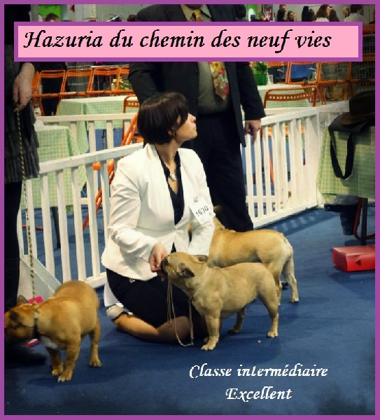 Hazuria Du Chemin Des Neuf Vies - Excellent non classé- classe intermédiaire