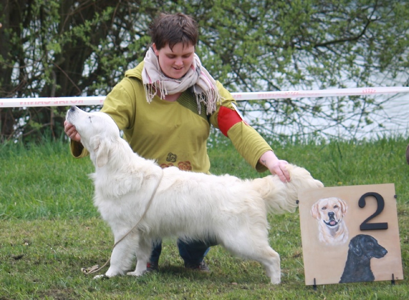 Harrissa de bihan ki breizh