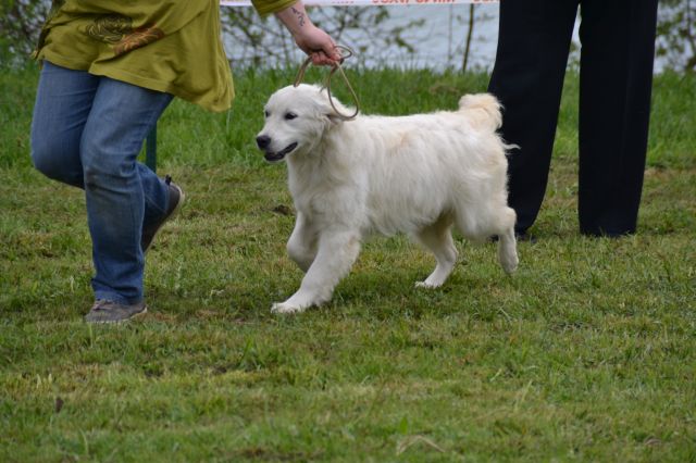 Harrissa de bihan ki breizh