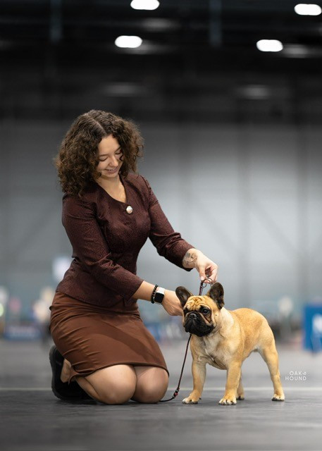 wonderbull's Lunar overdrive