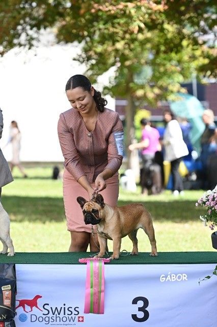 wonderbull's Lunar overdrive