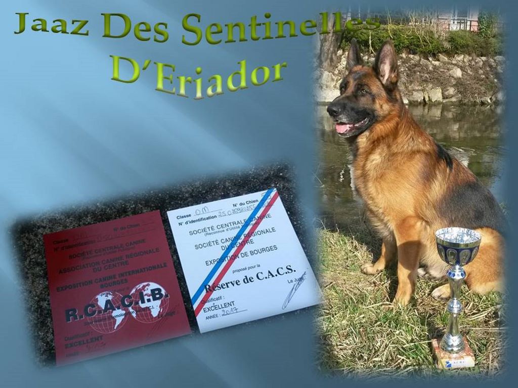 Jaaz Des Sentinelles D'Eriador