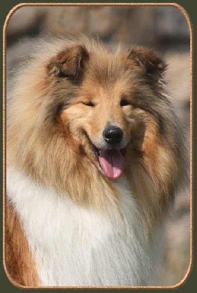 Diabolique amazone des marecages du Prince