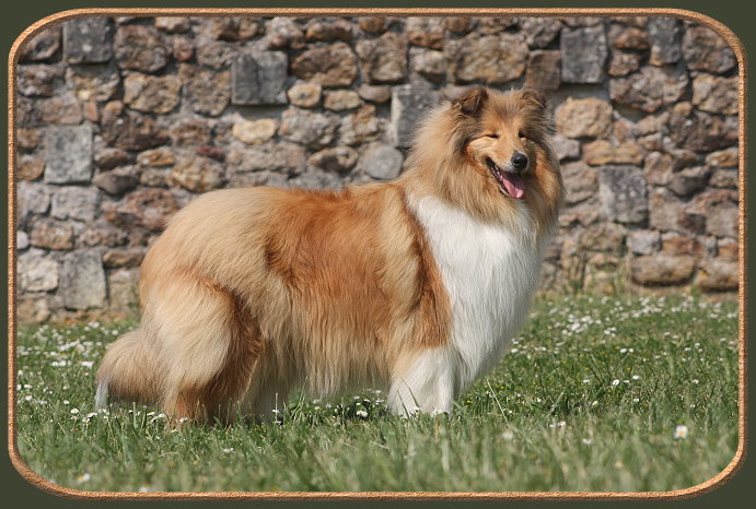 Diabolique amazone des marecages du Prince