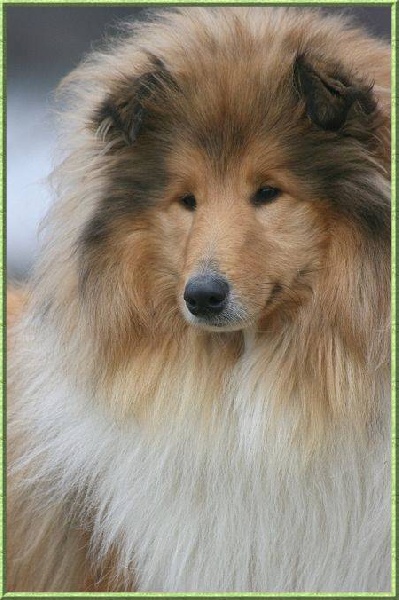 Diabolique amazone des marecages du Prince