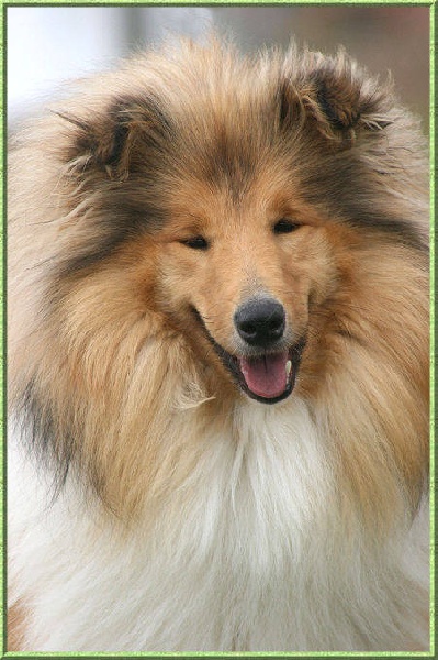 Diabolique amazone des marecages du Prince