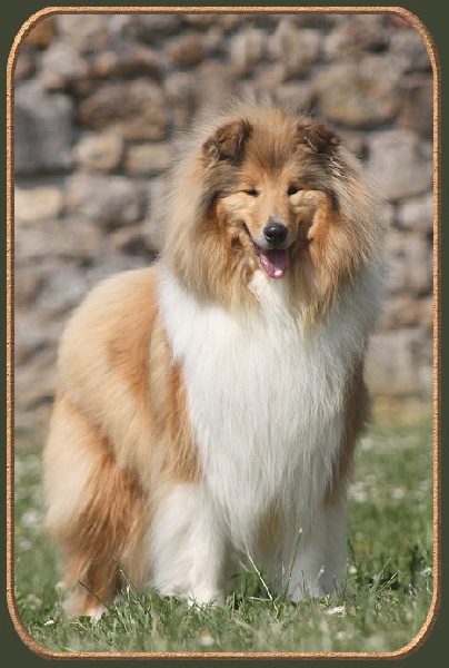 Diabolique amazone des marecages du Prince