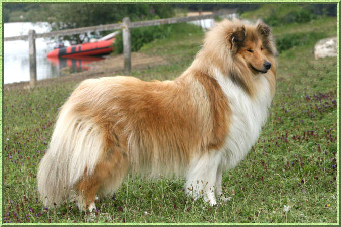 Diabolique amazone des marecages du Prince