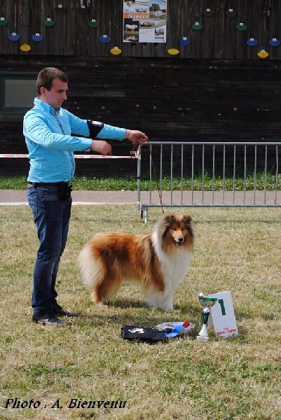 Identité secrète Des Plaines D'earny - 1ère exc / 6 + meilleure femelle