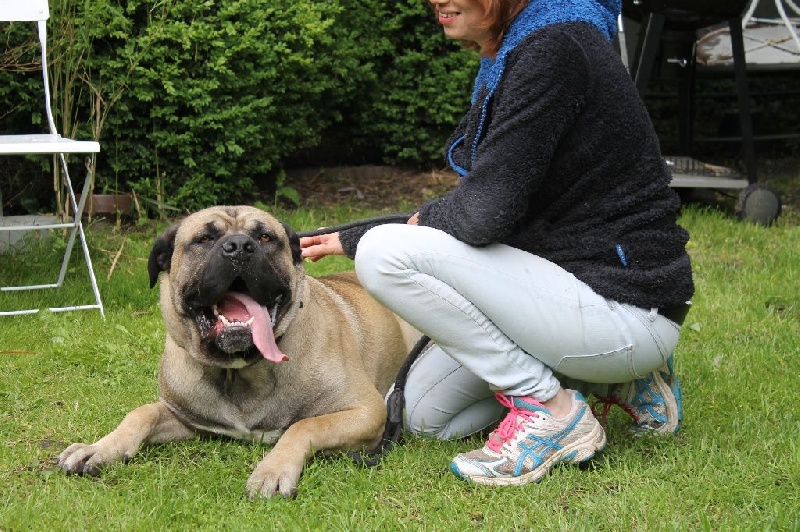 Publication : Descendant d'Ares Auteur : Lambert-Peigneur