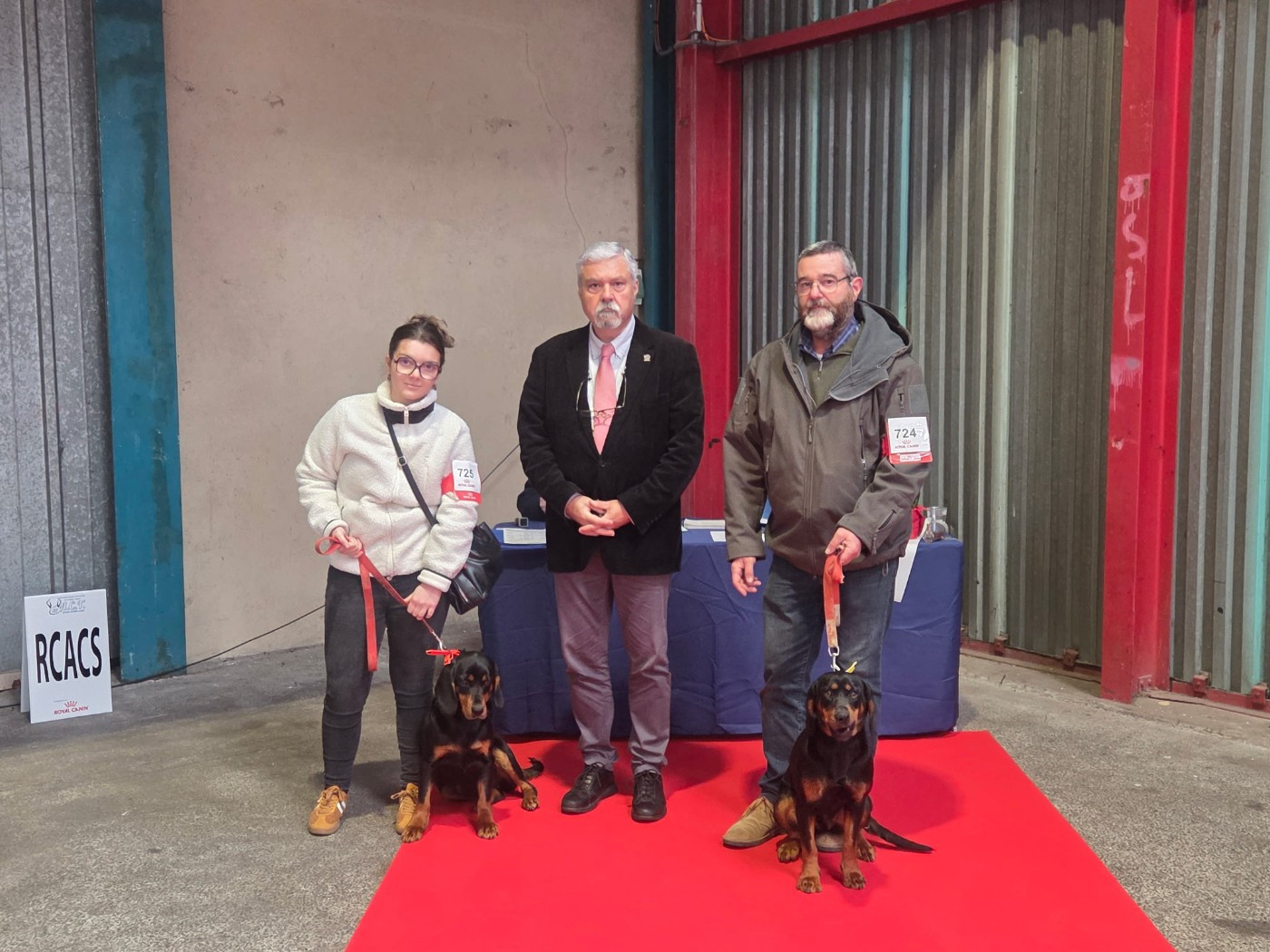 Samba Des Tannières Aux Mordorées - 1 er excellent classe ouverte femelles C.A.C.S - Meilleur de race