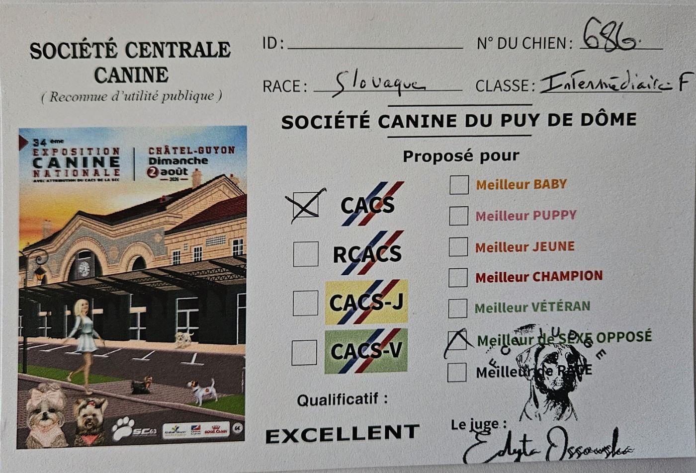 Vanille Des Tannières Aux Mordorées - 1er Excellent CACS, meilleur de sexe opposé, classe intermédiaire Femelles