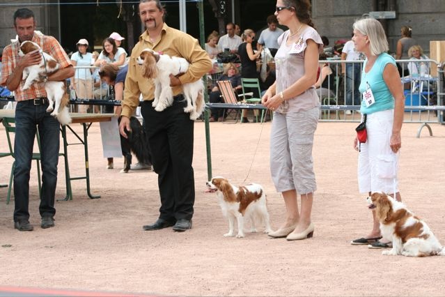 Cristal du Bois de Rinjade - 2eme excellent RCACS