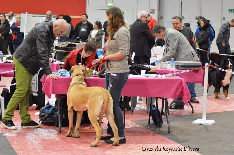 Linzi Du Royaume D'kera - Bon non classé en classe jeune