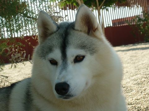 Publication : Spirit Of The Wind's