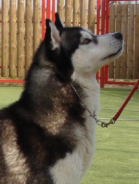 Publication : Of Cool Water Auteur : D uselmann