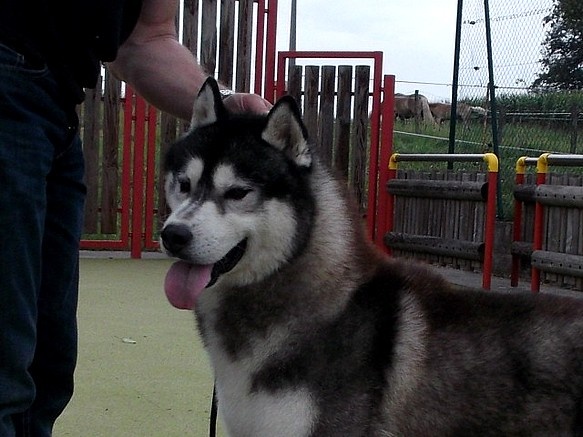 Café noir Of Cool Water