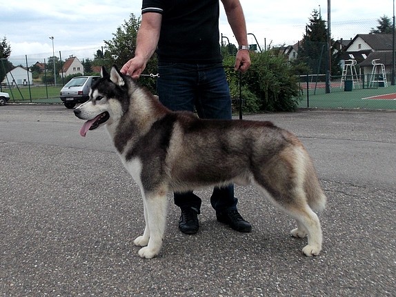 Café noir Of Cool Water