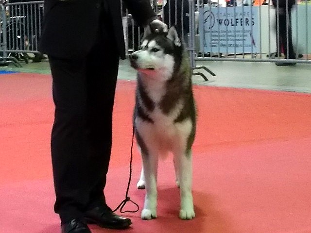 Café noir Of Cool Water